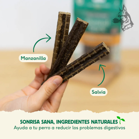 Mano sosteniendo tres sticks dentales Wild Balance, con etiquetas resaltando ingredientes naturales como la manzanilla y la salv