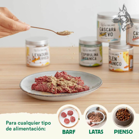 Una persona espolvoreando Golden Cúrcuma sobre carne cruda en un plato, con otros suplementos naturales de Wild Balance al fondo
