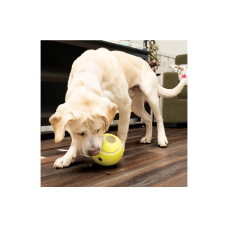 Kong Rewards Tennis