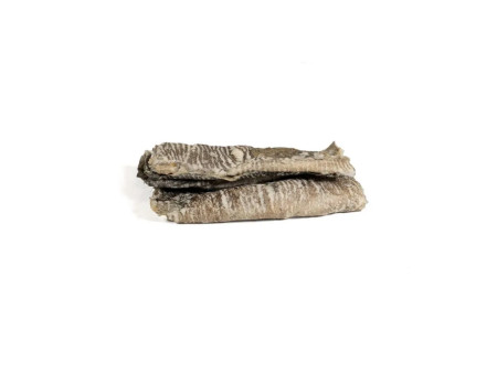 Snack natural para perros de piel de fogonero deshidratada, crujiente y rica en proteínas. 2