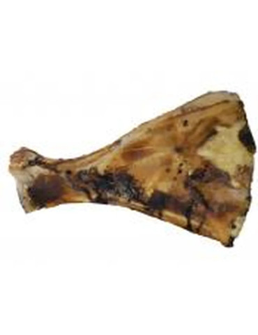 Escápula de Vaca 2