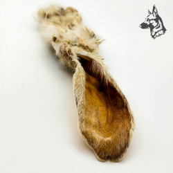 Oreja de conejo con Pelo 2
