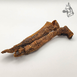 Tráqueas de Cordero 2