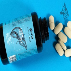 Envase de suplemento alimenticio para mascotas marca Gloria Supple Pets, modelo Liver Protect. Este producto está formulado para 2
