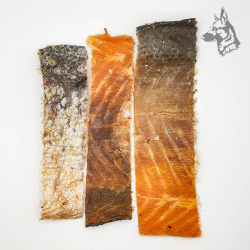 Tres piezas de piel de salmón dispuestas sobre un fondo claro, resaltando su calidad. 2